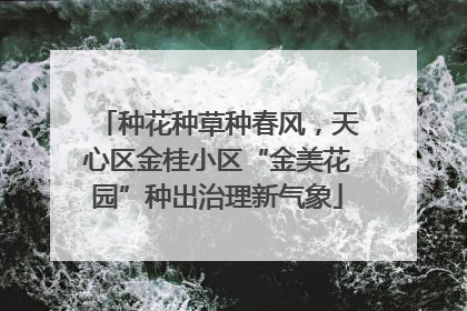 种花种草种春风，天心区金桂小区“金美花园”种出治理新气象