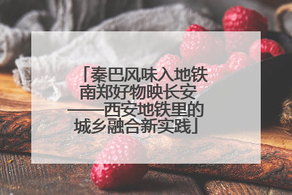 秦巴风味入地铁 南郑好物映长安——西安地铁里的城乡融合新实践