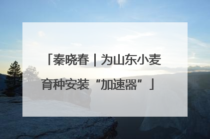 秦晓春｜为山东小麦育种安装“加速器”
