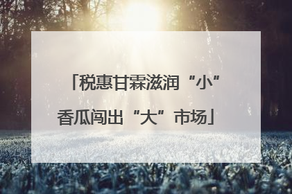 税惠甘霖滋润“小”香瓜闯出“大”市场