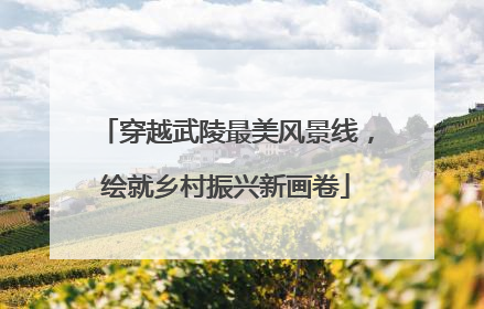 穿越武陵最美风景线，绘就乡村振兴新画卷