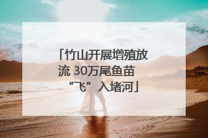 竹山开展增殖放流 30万尾鱼苗“飞”入堵河