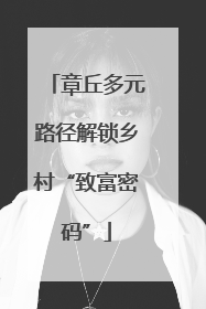 章丘多元路径解锁乡村“致富密码”