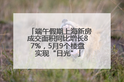 端午假期上海新房成交面积同比增长87%，5月9个楼盘实现“日光”