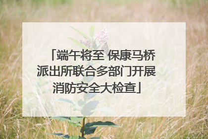 端午将至 保康马桥派出所联合多部门开展消防安全大检查