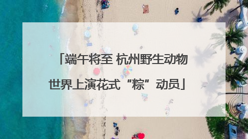 端午将至 杭州野生动物世界上演花式“粽”动员