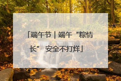 端午节｜端午“粽情长” 安全不打烊