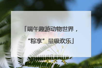 端午趣游动物世界，“粽享”量级欢乐