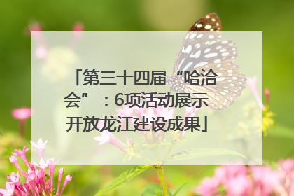 第三十四届“哈洽会”：6项活动展示开放龙江建设成果