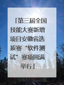第三届全国技能大赛新增项目安徽省选拔赛“软件测试”赛项圆满举行