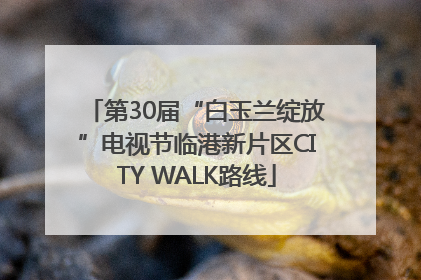 第30届“白玉兰绽放”电视节临港新片区CITY WALK路线