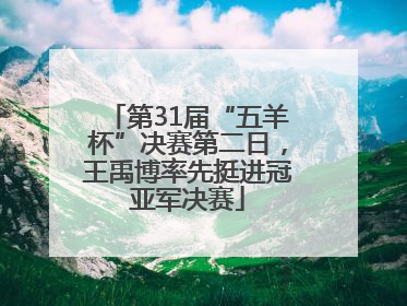 第31届“五羊杯”决赛第二日，王禹博率先挺进冠亚军决赛