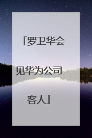 罗卫华会见华为公司客人