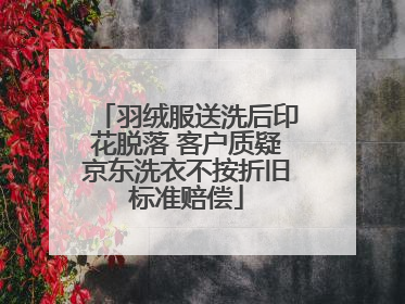 羽绒服送洗后印花脱落 客户质疑京东洗衣不按折旧标准赔偿