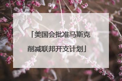 美国会批准马斯克削减联邦开支计划