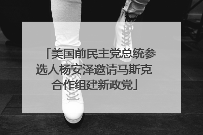 美国前民主党总统参选人杨安泽邀请马斯克合作组建新政党