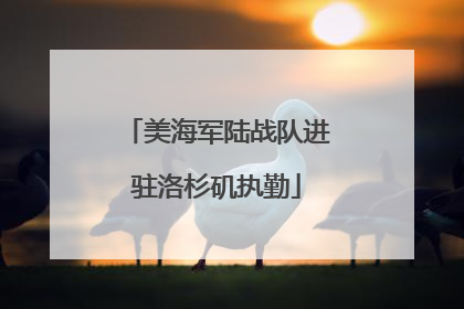 美海军陆战队进驻洛杉矶执勤