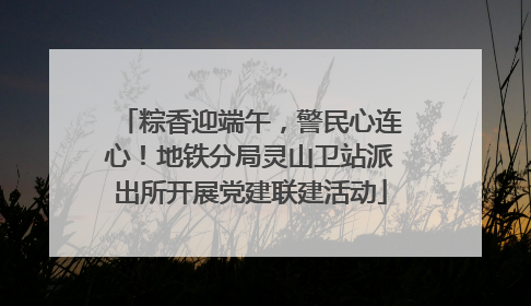 粽香迎端午，警民心连心！地铁分局灵山卫站派出所开展党建联建活动