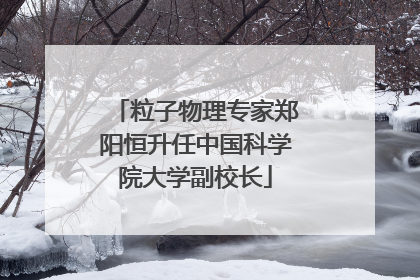 粒子物理专家郑阳恒升任中国科学院大学副校长