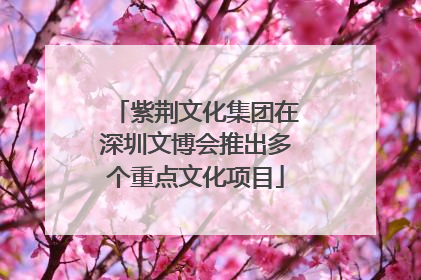 紫荆文化集团在深圳文博会推出多个重点文化项目
