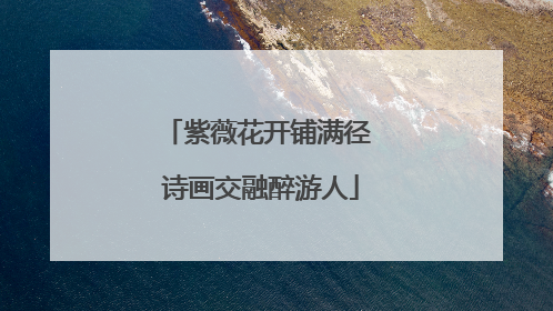 紫薇花开铺满径 诗画交融醉游人