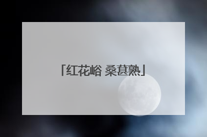 红花峪 桑葚熟