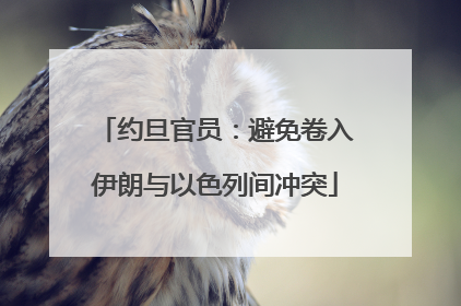 约旦官员：避免卷入伊朗与以色列间冲突