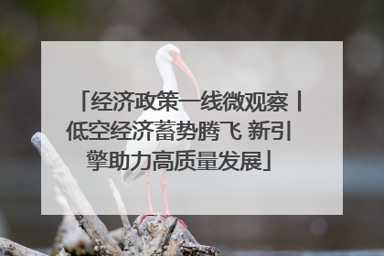 经济政策一线微观察丨低空经济蓄势腾飞 新引擎助力高质量发展