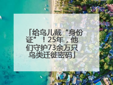 给鸟儿戴“身份证”！25年，他们守护73余万只鸟类迁徙密码