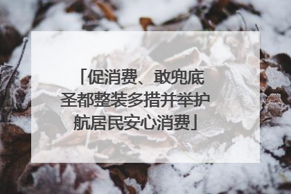 促消费、敢兜底 圣都整装多措并举护航居民安心消费