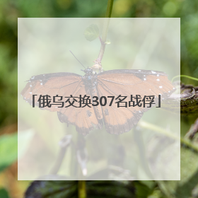 俄乌交换307名战俘