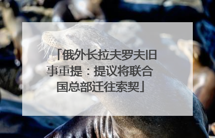 俄外长拉夫罗夫旧事重提：提议将联合国总部迁往索契