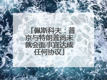 佩斯科夫：普京与特朗普尚未就会面事宜达成任何协议