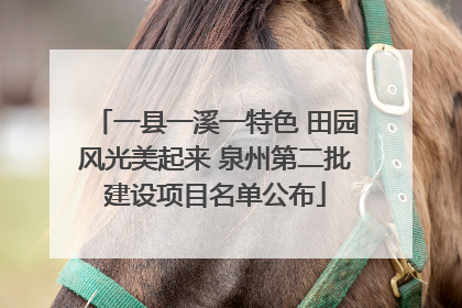 一县一溪一特色 田园风光美起来 泉州第二批建设项目名单公布