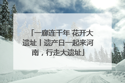 一廊连千年 花开大遗址丨遗产日一起来河南，行走大遗址