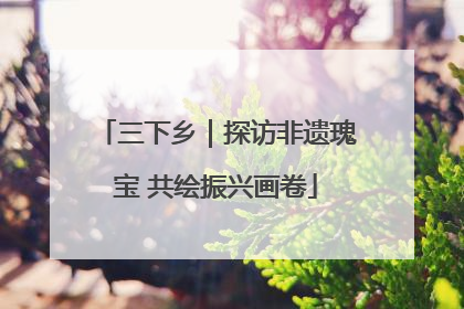 三下乡｜探访非遗瑰宝 共绘振兴画卷