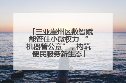 三亚崖州区数智赋能管住小微权力 “机器管公章”，构筑便民服务新生态