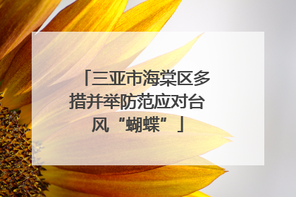 三亚市海棠区多措并举防范应对台风“蝴蝶”