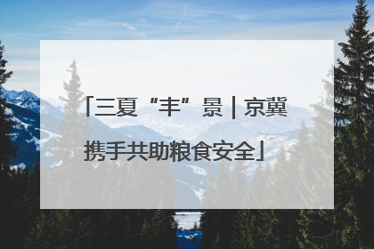 三夏“丰”景｜京冀携手共助粮食安全