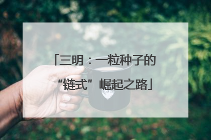 三明：一粒种子的“链式”崛起之路