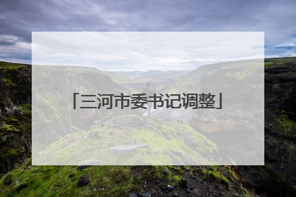 三河市委书记调整