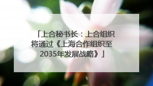 上合秘书长：上合组织将通过《上海合作组织至2035年发展战略》