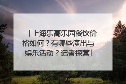 上海乐高乐园餐饮价格如何？有哪些演出与娱乐活动？记者探营