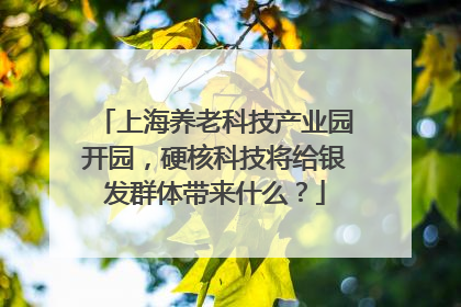 上海养老科技产业园开园，硬核科技将给银发群体带来什么？
