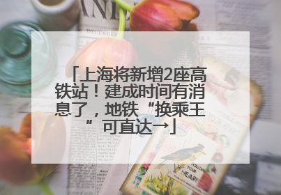 上海将新增2座高铁站！建成时间有消息了，地铁“换乘王”可直达→
