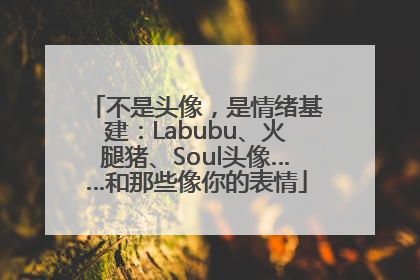 不是头像，是情绪基建：Labubu、火腿猪、Soul头像……和那些像你的表情