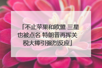 不止苹果和欧盟 三星也被点名 特朗普再挥关税大棒引强烈反应