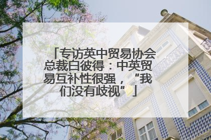 专访英中贸易协会总裁白彼得：中英贸易互补性很强，“我们没有歧视”