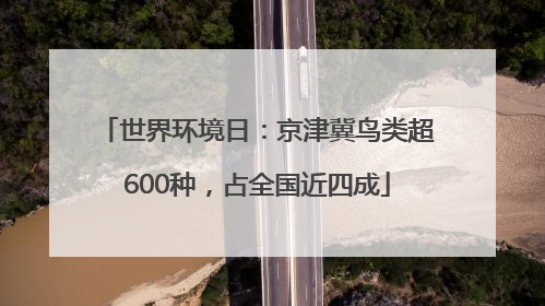 世界环境日：京津冀鸟类超600种，占全国近四成