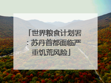 世界粮食计划署：苏丹首都面临严重饥荒风险